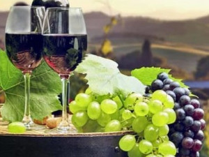 Рекламный тур в ЮАР