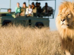 Рекламный тур в ЮАР