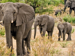 Непал. Полёт на Эверестом
